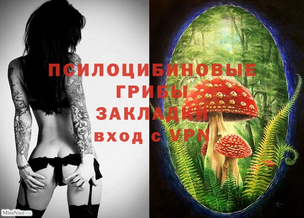 кокаин Медвежьегорск